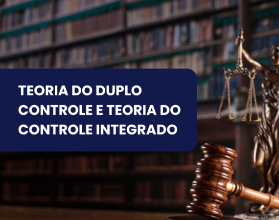 TEORIA DO DUPLO CONTROLE E TEORIA DO CONTROLE INTEGRADO