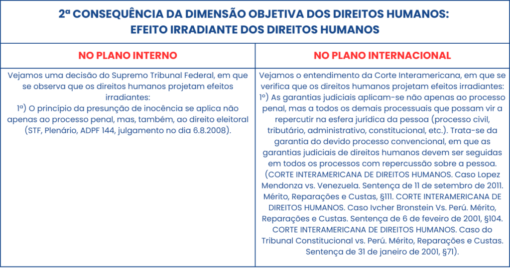 2 CONSEQUÊNCIA DA DIMENSÃO OBJETIVA DOS DIREITOS HUMANOS